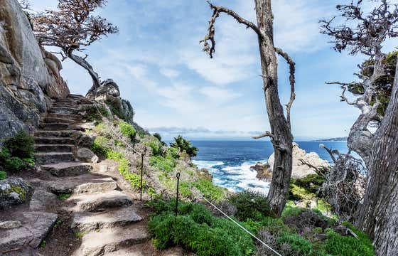 The ultimate guide to Big Sur's Point Lobos State Reserve | Roadtrippers