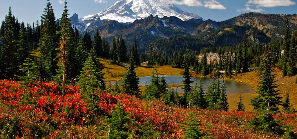 Photo of Mount Rainier National Park