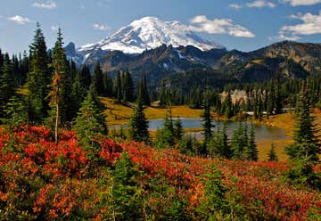 Photo of Mount Rainier National Park, 38916 State Route 706 E Ashford, Washington