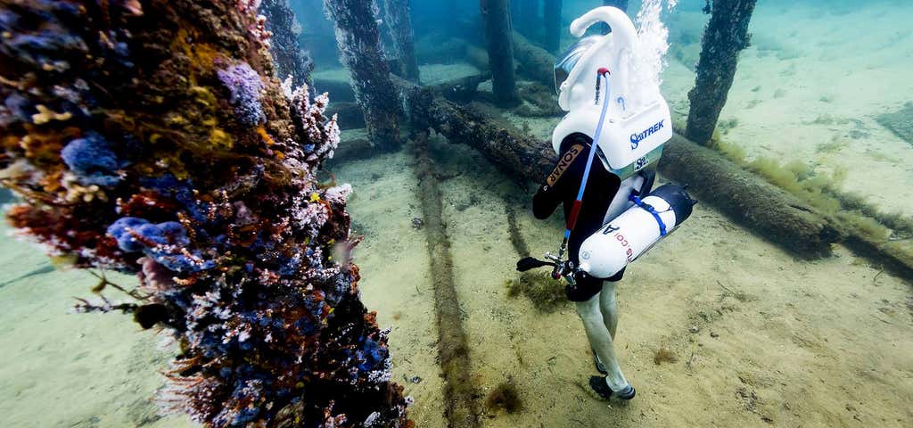 Photo of Dive Busselton Jetty