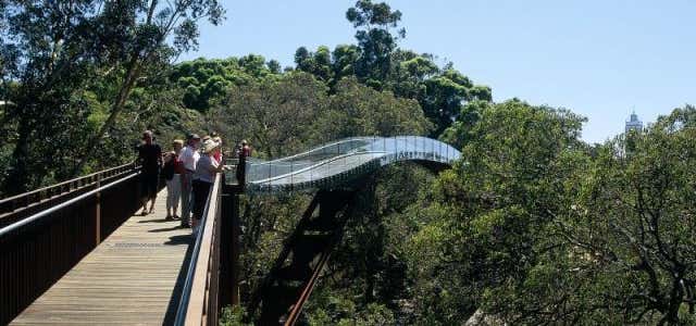 Photo of Law Trail and Lotterywest Federation Walkway, Kings Park