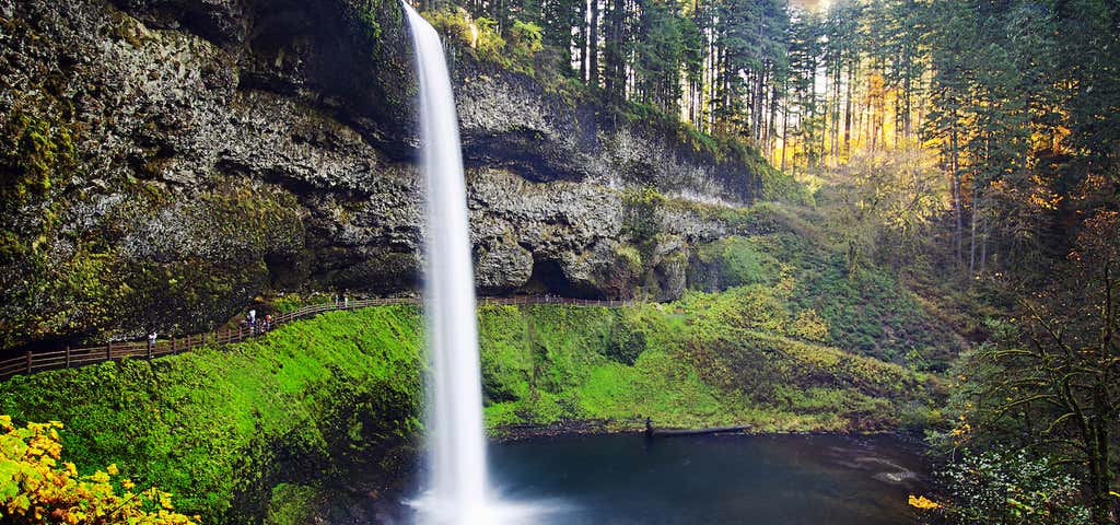 Photo of Silver Falls State Park