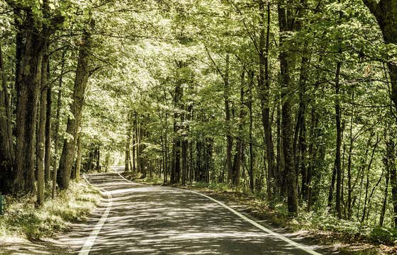 The Tunnel Of Trees M 119 Michigan S Most Scenic Road Roadtrippers