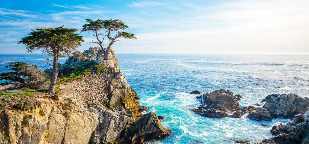 Photo of 17 Mile Drive at Pebble Beach