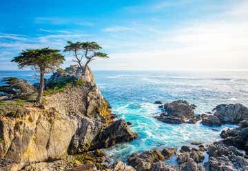 Photo of 17 Mile Drive at Pebble Beach