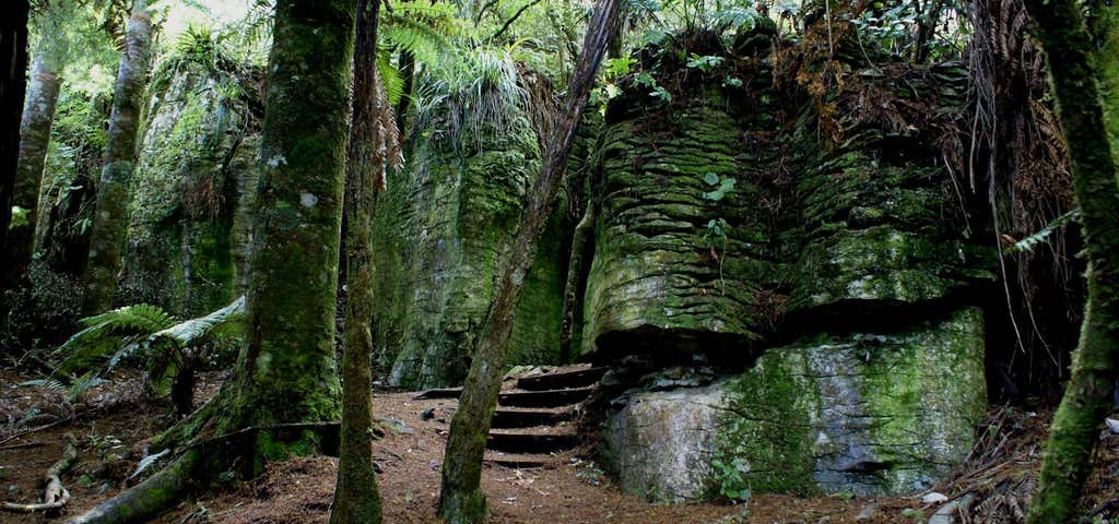 Photo of Waitomo Walkway