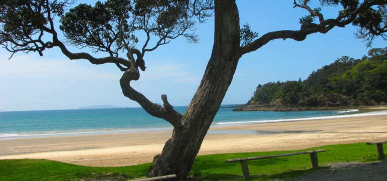 Photo of Tutukaka Coast Beach