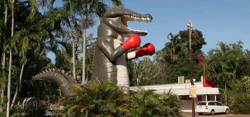 Photo of The Big Boxing Crocodile