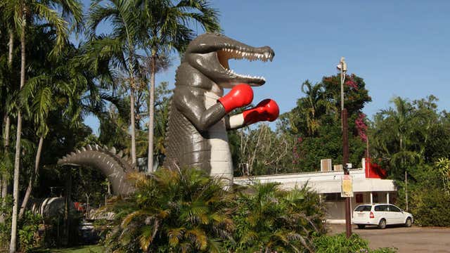 The Big Boxing Crocodile NT Roadtrippers