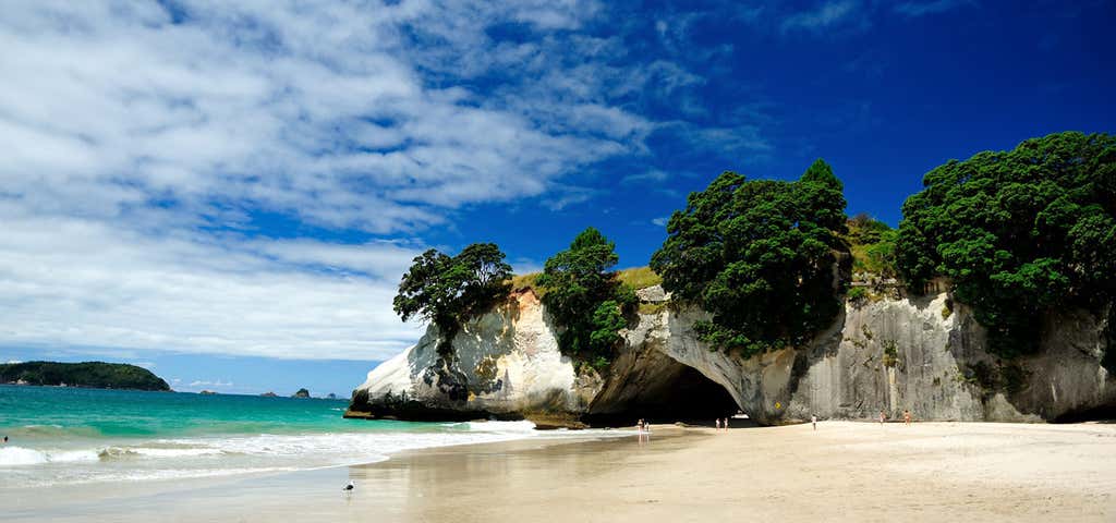 Photo of Cathedral Cove Walk