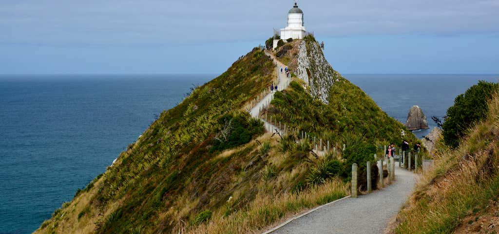 Photo of Nugget Point