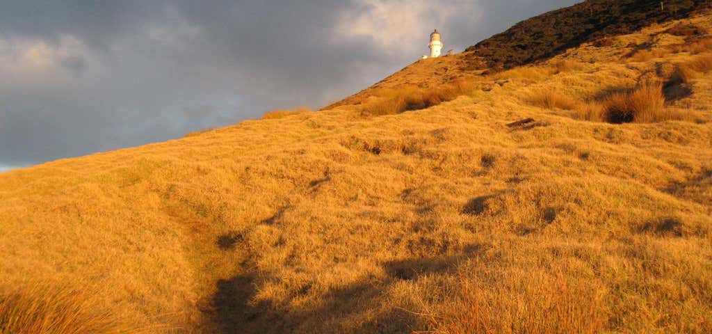 Photo of Cape Brett Lighthouse Walk