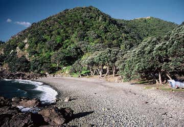 Photo of Fantail Bay Track
