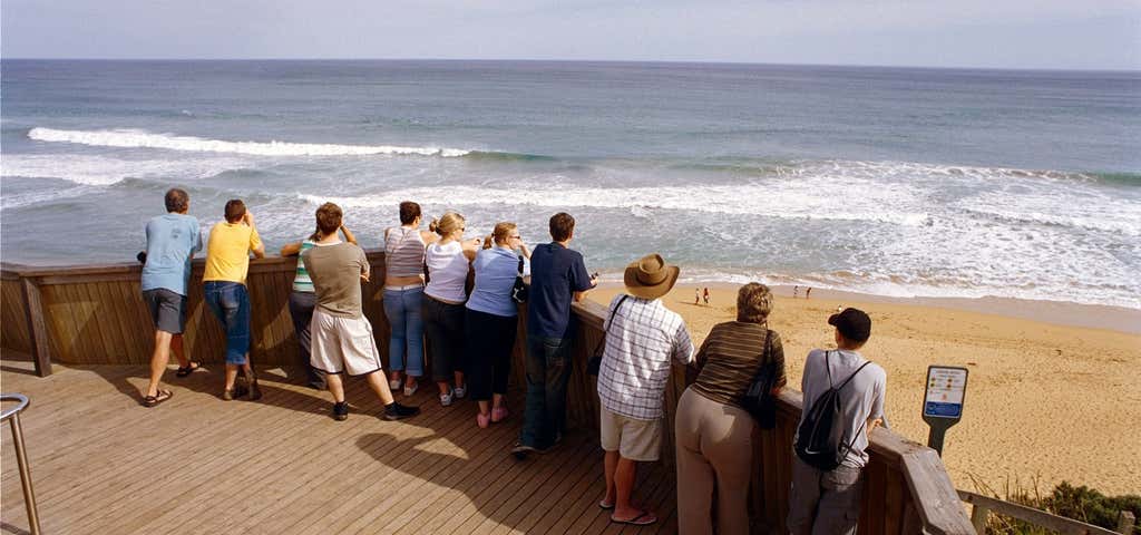 Photo of Logans Beach Whale Nursery
