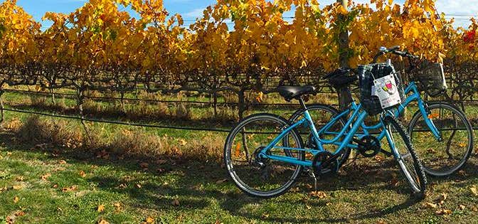 Photo of On Yer Bike Winery Tours