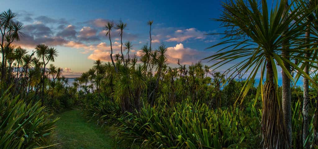 Photo of Tiritiri Matangi Island Reserve