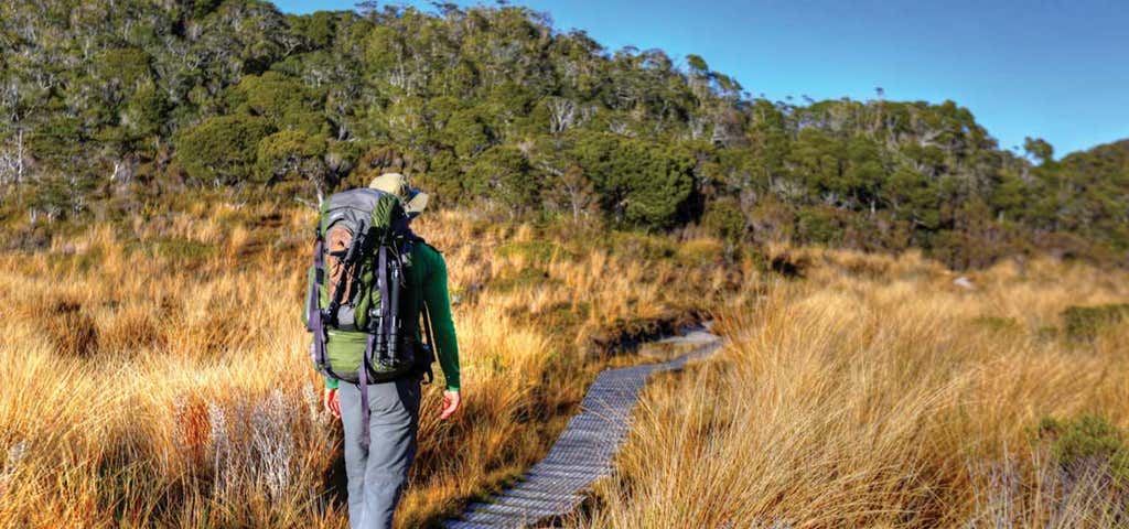 Photo of Heaphy Track