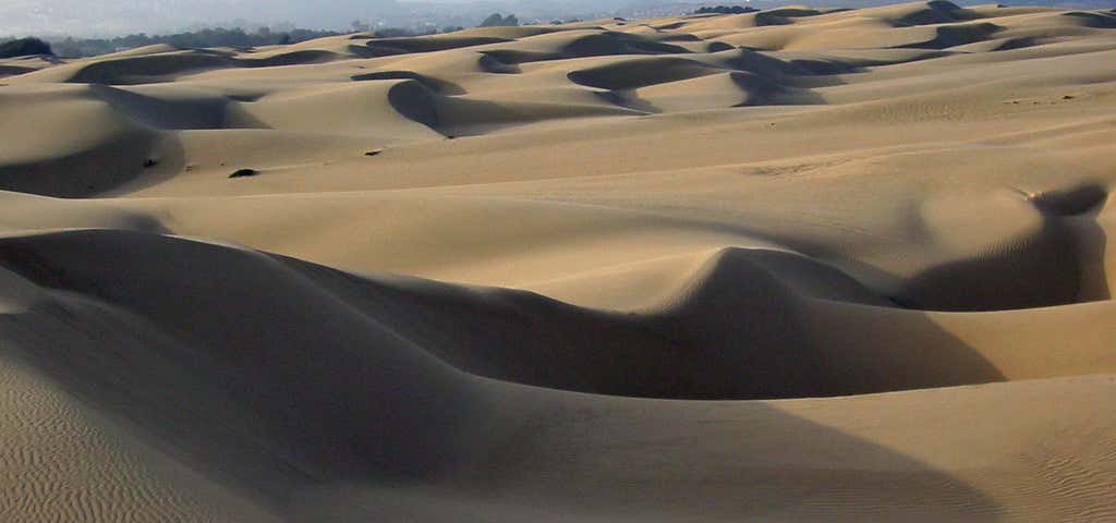 Photo of Oceano Dunes Natural Preserve