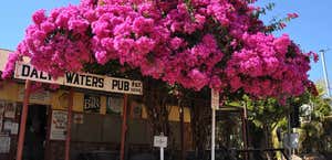 Daly Waters Historic Pub