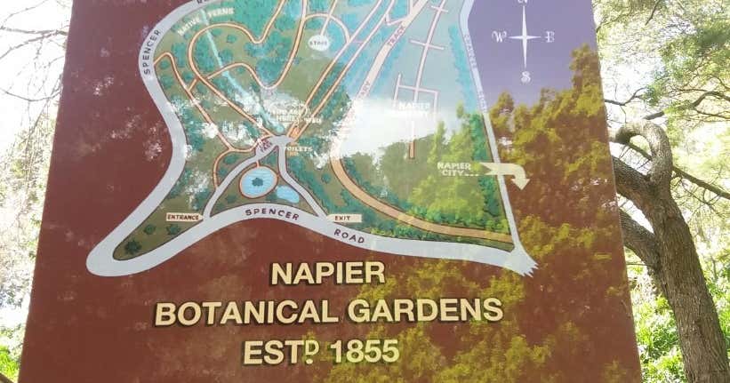 Napier Botanical Gardens Toilet, Hawkes's Bay Roadtrippers