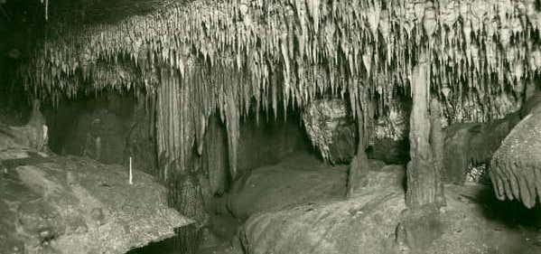 Photo of Buchan Caves Reserve