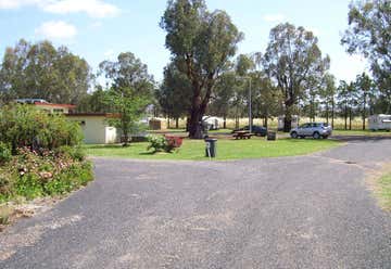 Photo of Dunedoo Caravan Park