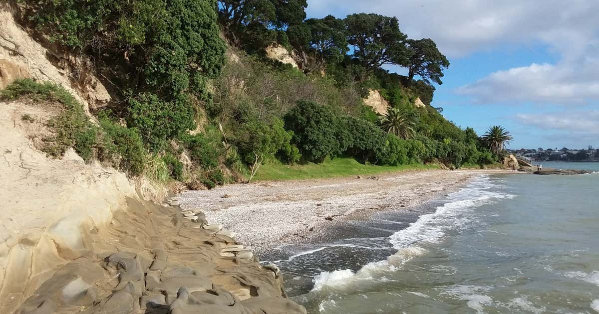 Achilles Point, North Island Roadtrippers