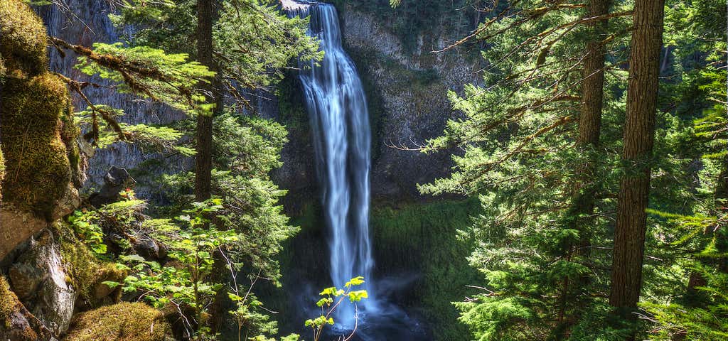 Photo of Salt Creek Falls