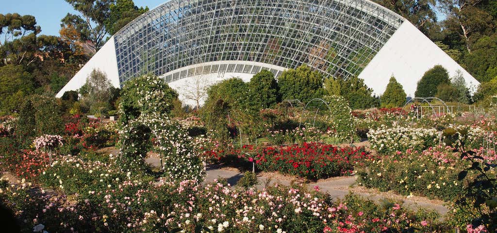 Photo of Adelaide Botanic Garden