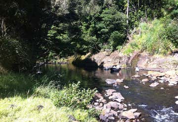 Photo of Kauri Coast TOP 10 Holiday Park
