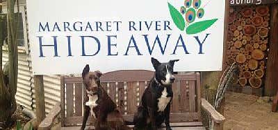 Photo of Margaret River Hideaway & Farmstay