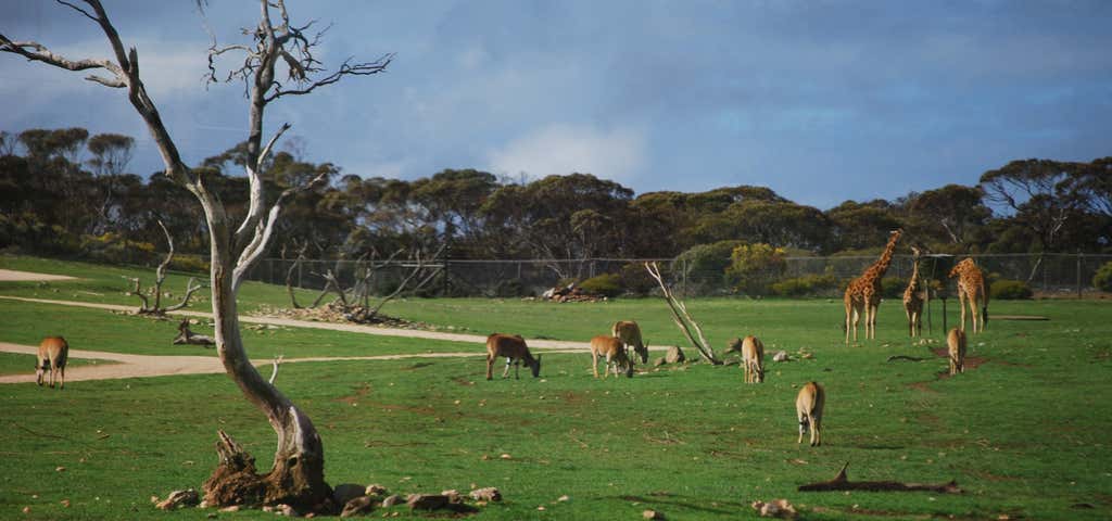 Photo of Monarto Zoo