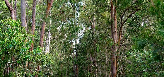 Photo of Karawatha Forest Discovery Centre