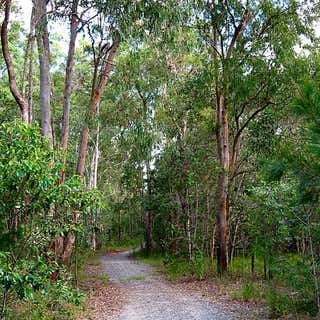 Karawatha Forest Discovery Centre