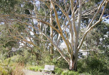 Photo of Australian National Botanic Gardens