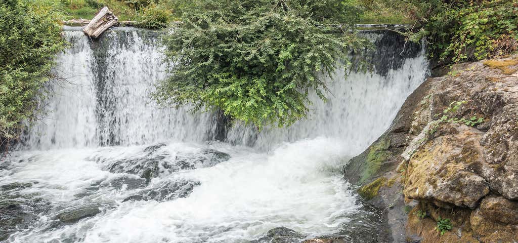 Photo of Tumwater Falls Park