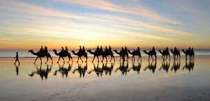 Sundowner Camel Tours