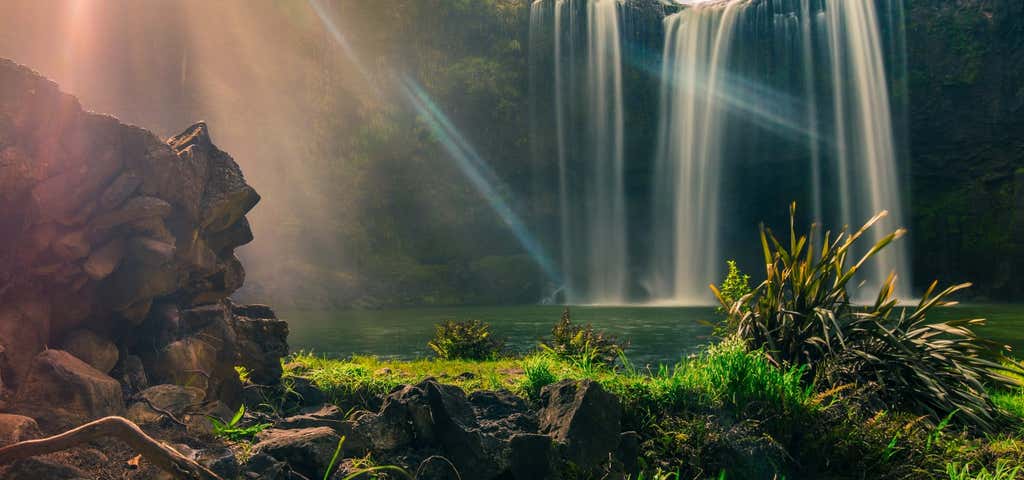 Photo of Otuihau Whangarei Falls