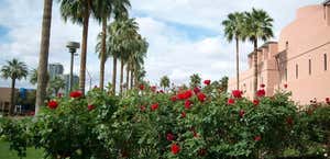 The Arboretum at Arizona State University