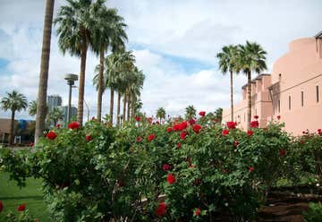 Photo of The Arboretum at Arizona State University