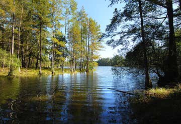 Photo of Carvers Creek State Park