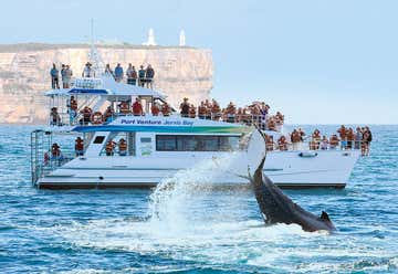 Photo of Jervis Bay Wild Cruises