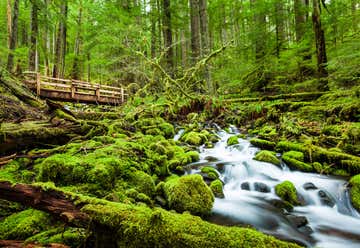 Photo of Sol Duc Falls