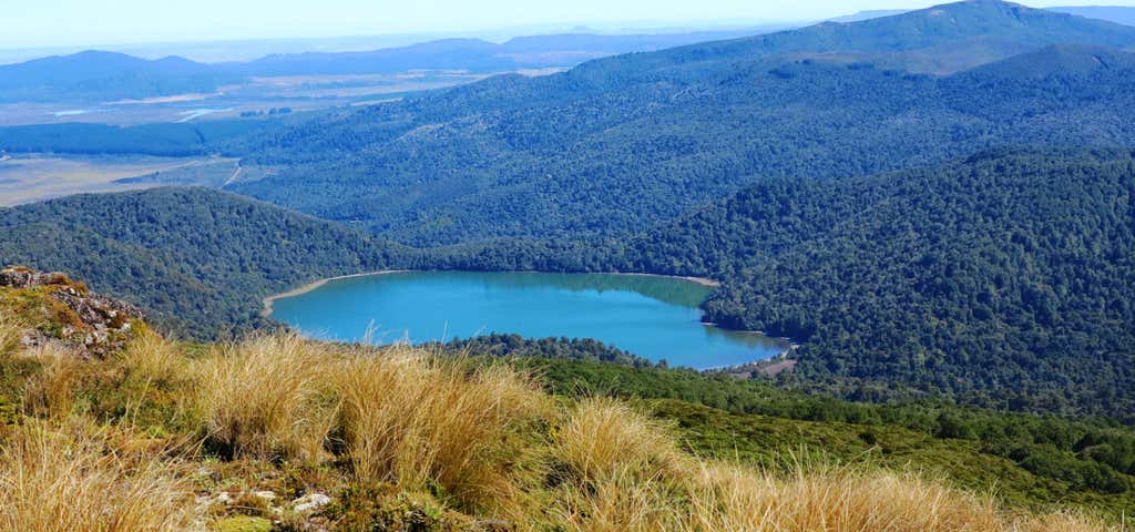 Photo of Lake Rotopounamu Track