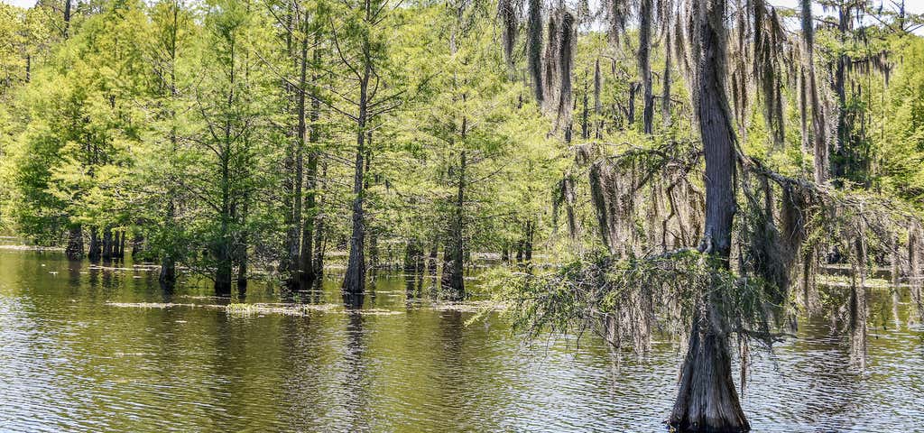 Photo of Lake Chicot State Park