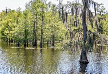 Photo of Lake Chicot State Park