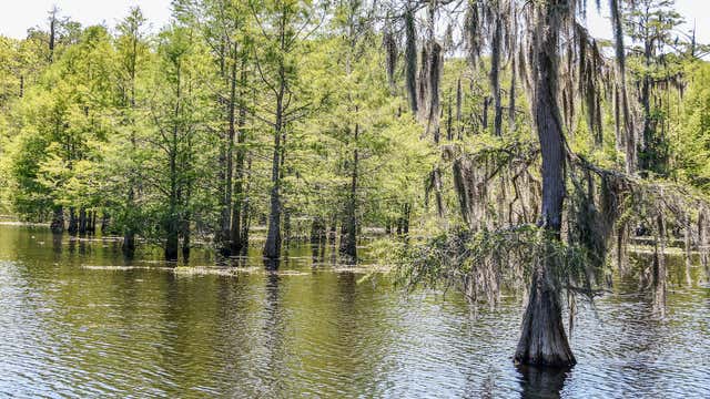 Lake Chicot State Park, Lake Village - AR | Roadtrippers