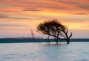 Photo of Folly Beach County Park