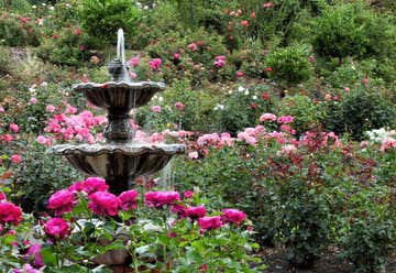 Photo of International Rose Test Gardens