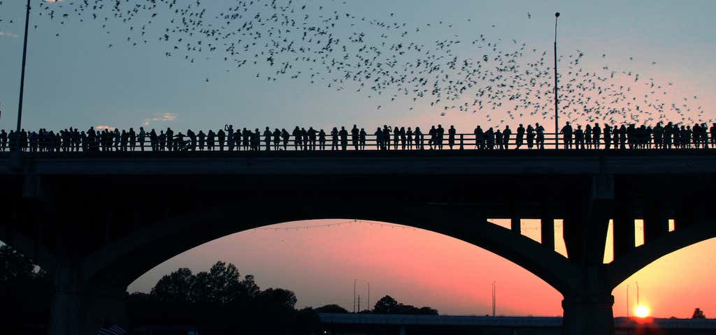 Photo of Congress Avenue Bridge / Austin Bats